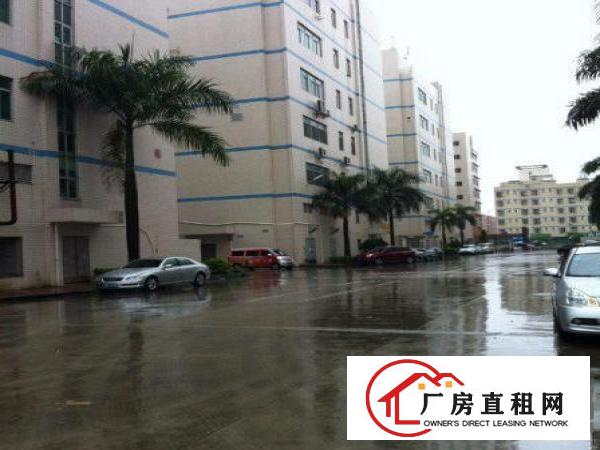  民乐科技园新出4楼800平带装修厂房招租