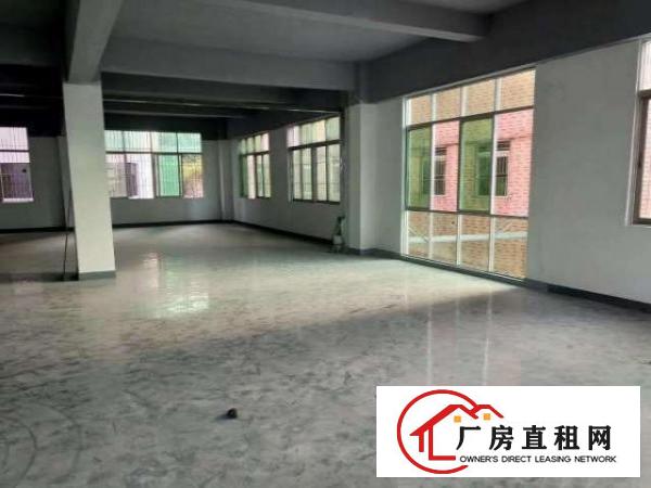  民治上塘地铁口新出三楼230平带精装修电商贸易