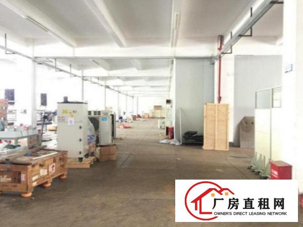 民治万众城大型工业园精装厂房物业直租大小可分租