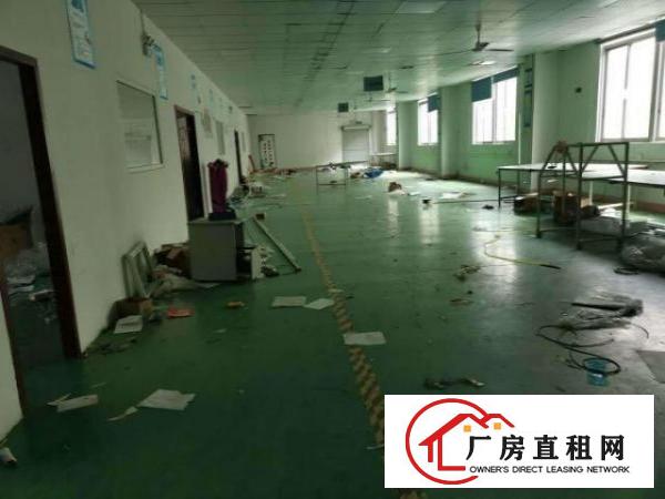  大型工业园厂房招租可分租小面积仓库小加工都行价格实惠