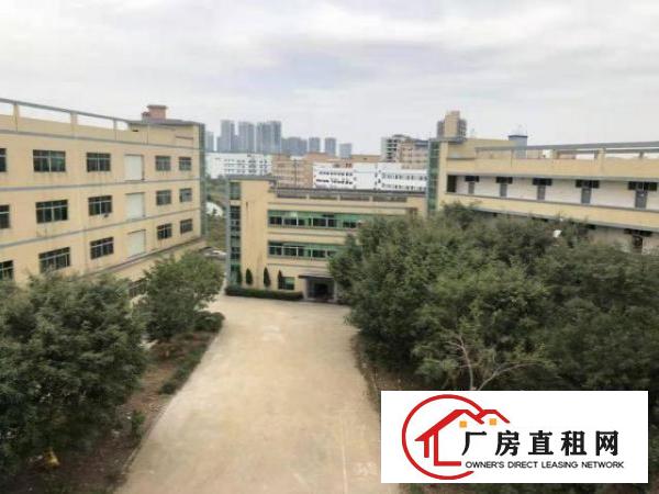  大型工业园厂房招租可分租小面积仓库小加工都行价格实惠