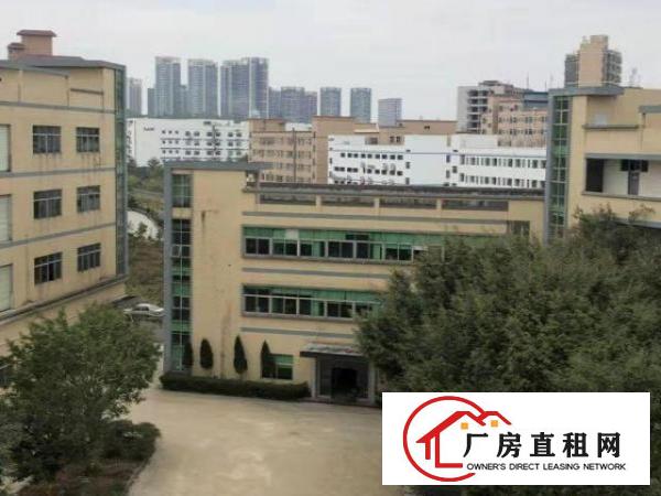  大型工业园厂房招租可分租小面积仓库小加工都行价格实惠