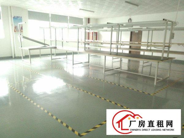  民治天汇大厦旁靖轩工业区出3楼480平带精装修免转让费招租