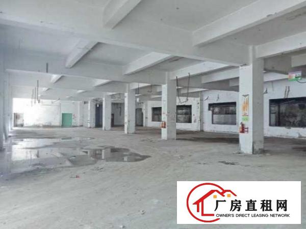  龙华上芬地铁站附近独院整栋4000平方厂房出租