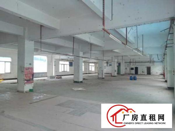  龙华上芬地铁站附近独院整栋4000平方厂房出租