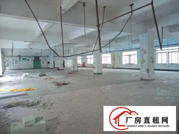  龙华上芬地铁站附近独院整栋4000平方厂房出租