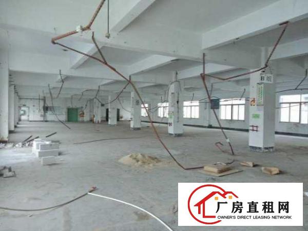  龙华上芬地铁站附近独院整栋4000平方厂房出租
