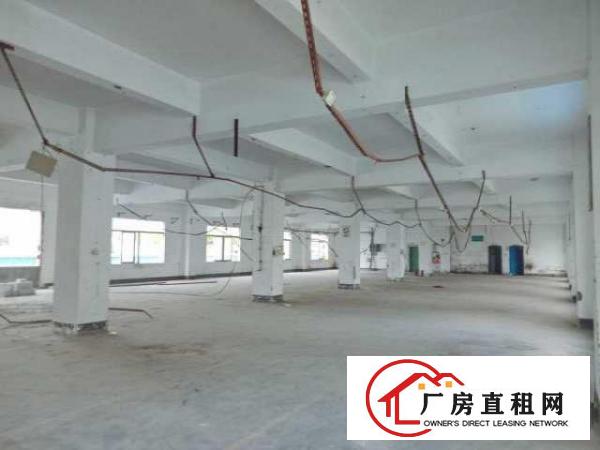  龙华上芬地铁站附近独院整栋4000平方厂房出租
