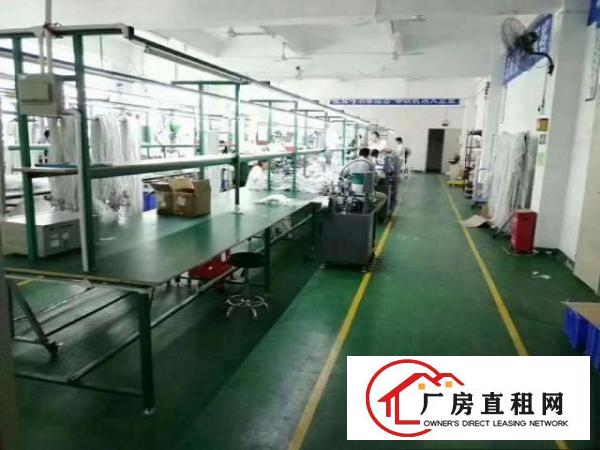  新出精装修厂房3楼560平，水电齐全，可拎包入住