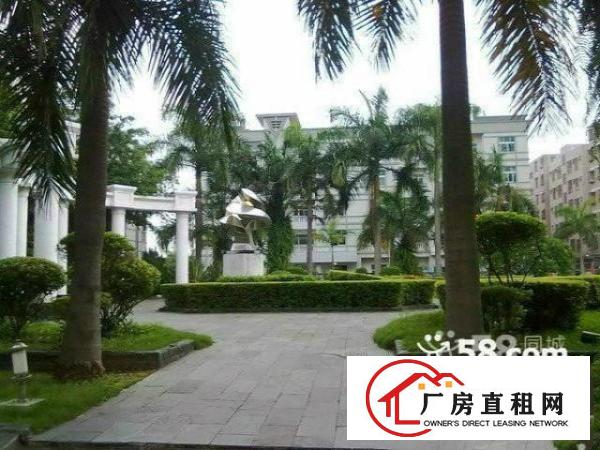  民治民乐工业区3楼400平带装修招租