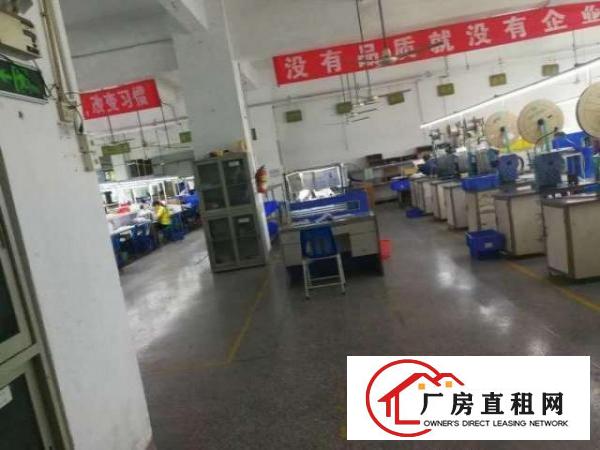  民乐地铁花园独院厂房4层6200平带装修急租形象好