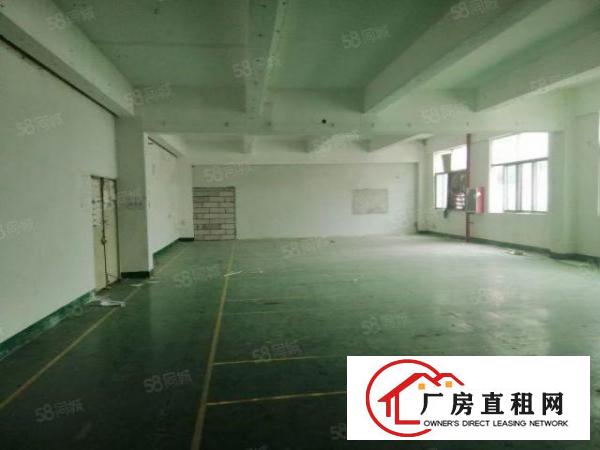  大浪原房东2800平方独门独院厂房园区空地大物流客