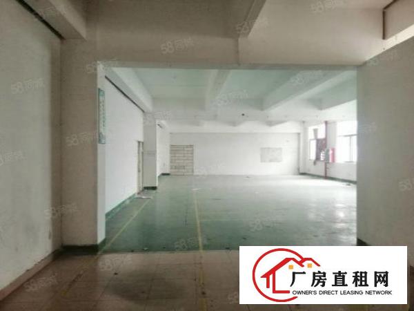  大浪原房东2800平方独门独院厂房园区空地大物流客