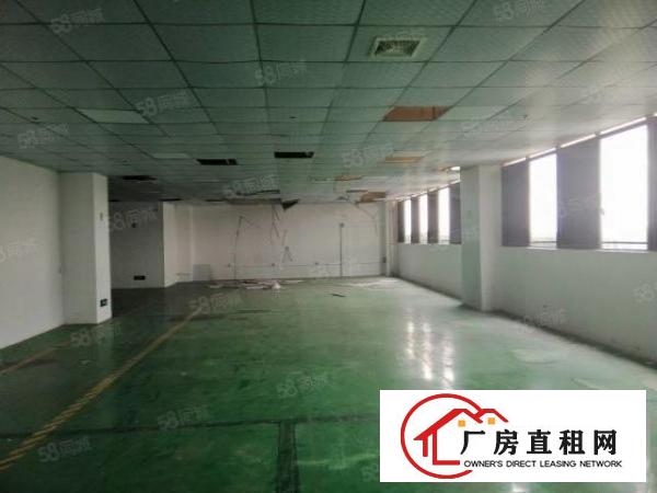  大浪原房东2800平方独门独院厂房园区空地大物流客
