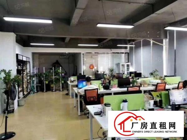  民治新出精装修厂房出租整层620平方红本工业厂房