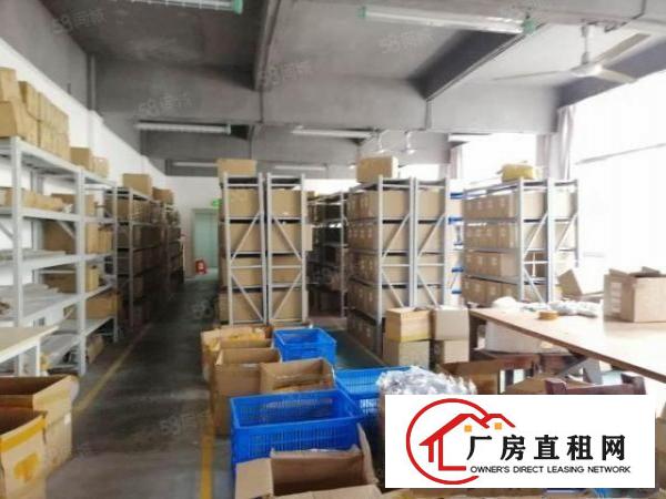  民治新出精装修厂房出租整层620平方红本工业厂房