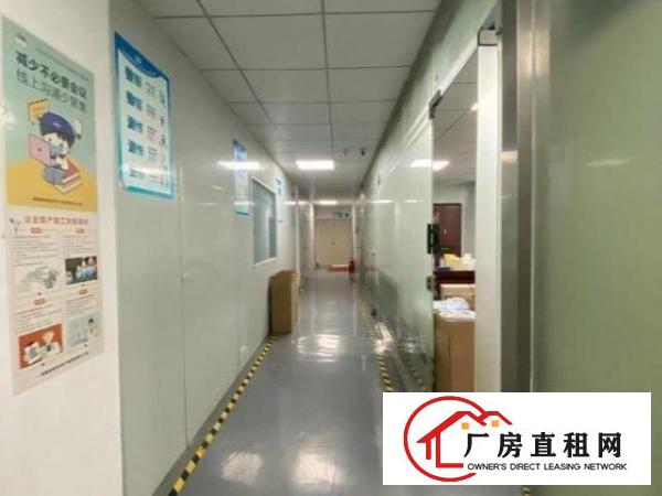  民治牛栏前新出厂房500平带装修适合电子贸易