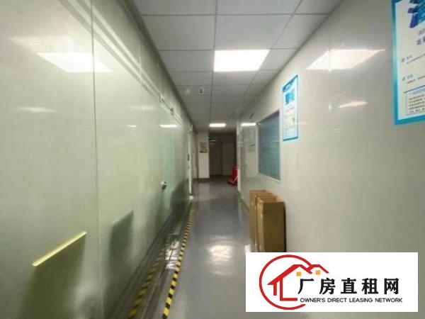  民治牛栏前新出厂房500平带装修适合电子贸易