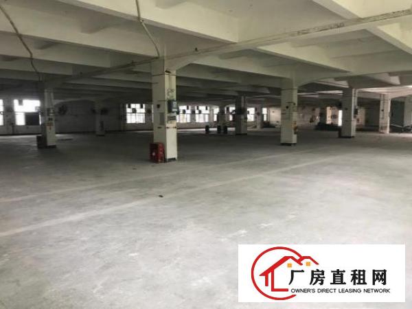  出租民治工业路主干道边全新厂房