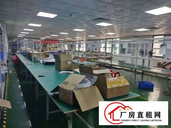  新出厂房2楼1580平带精装修使用率高可分租