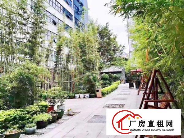  龙华深圳北精装修178平，198平，209平办公招租