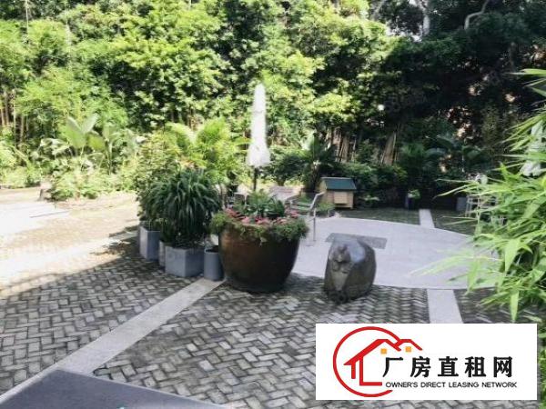  龙华深圳北精装修178平，198平，209平办公招租