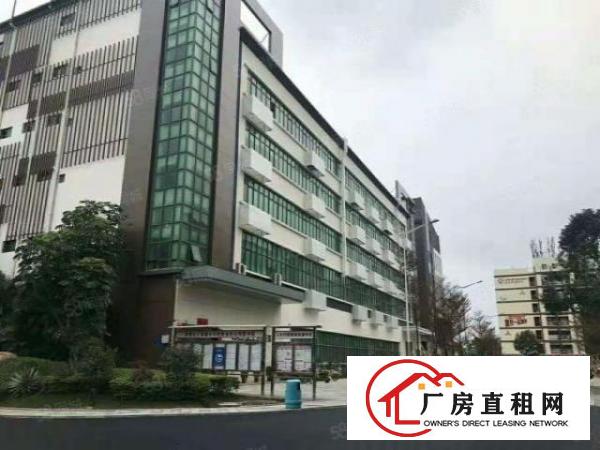  龙华樟坑工业园150平起分租1000平精装仓库厂房出租