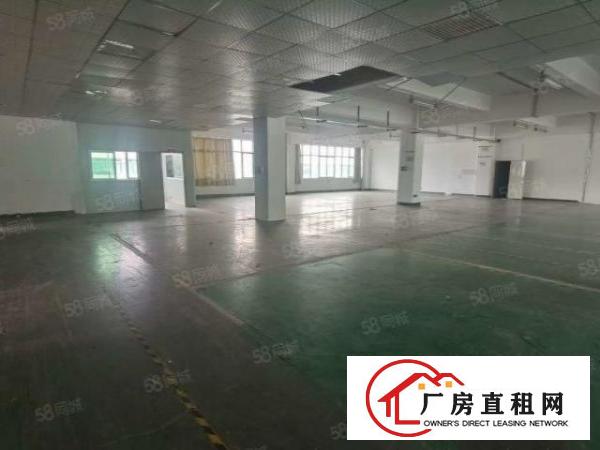  龙华樟坑工业园150平起分租1000平精装仓库厂房出租