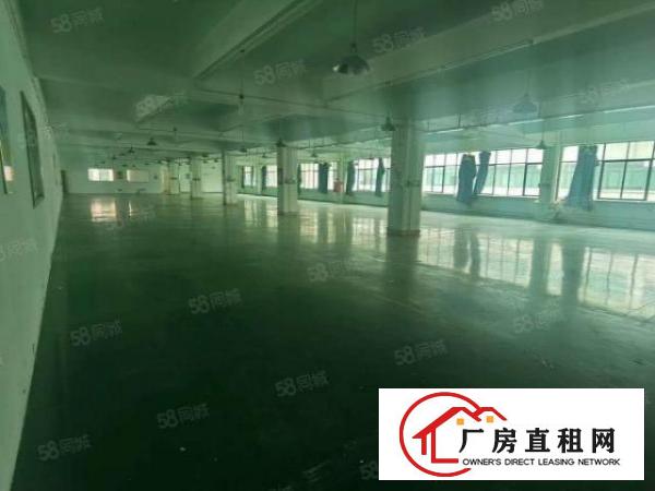  龙华樟坑工业园150平起分租1000平精装仓库厂房出租