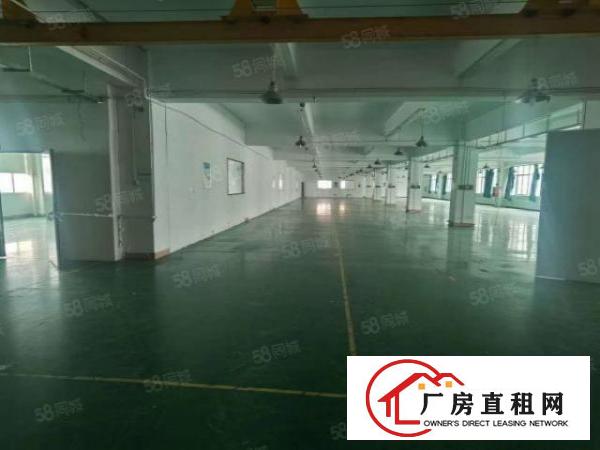  龙华樟坑工业园150平起分租1000平精装仓库厂房出租