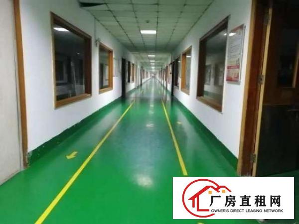  出租79800平线路板厂房（可分租）现成牌照