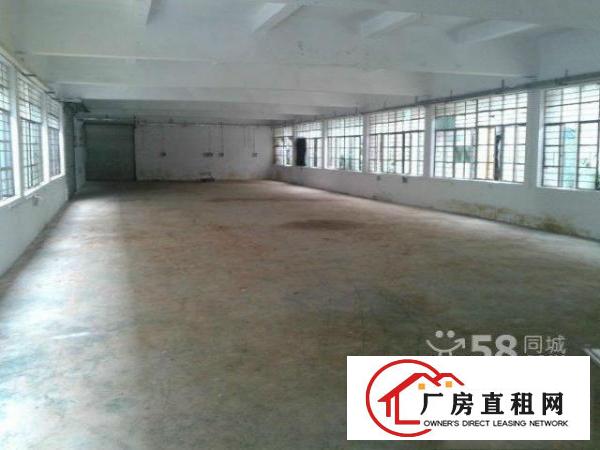  龙华天虹新出一楼550平方带装修招租