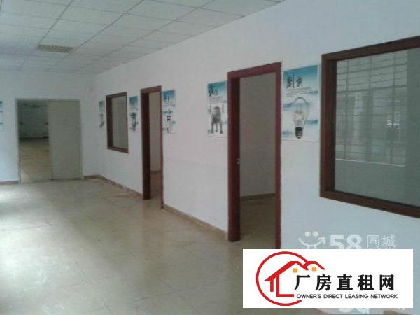  龙华天虹新出一楼550平方带装修招租