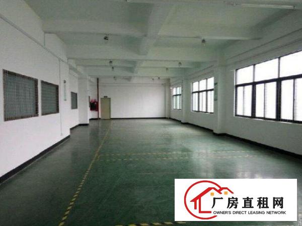  福龙路出口新出200平300平5000平厂房仓库招租