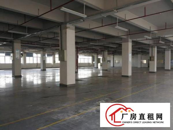  福龙路出口新出200平300平5000平厂房仓库招租