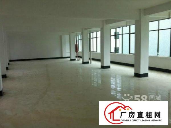  布龙路边元芬工业园新出一楼500平方