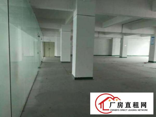 大浪石观工业区新出3楼450平方带装修厂房招租