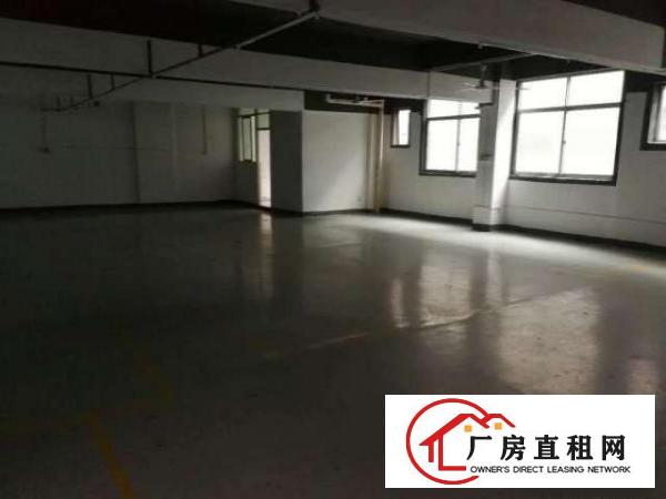  龙华东吴工业区新出3楼580平方花园式厂房带简装
