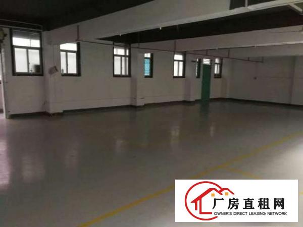  龙华东吴工业区新出3楼580平方花园式厂房带简装
