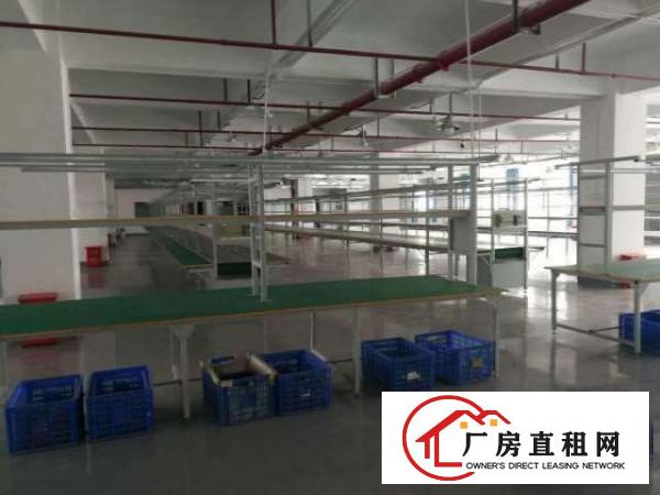  龙华大型成熟业区单层3100平方厂房花园式厂房出租