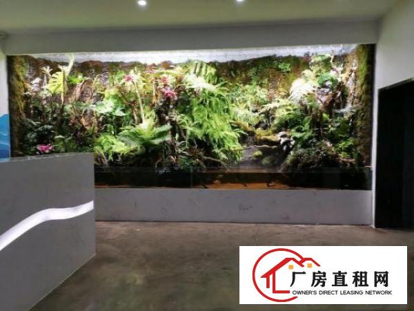  龙华厂房招租500平起租