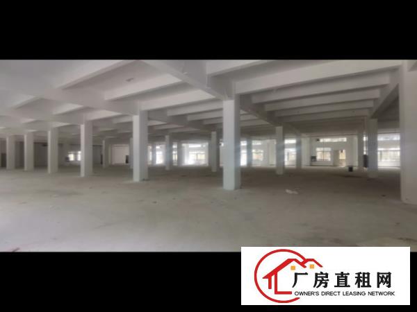  龙华区厂房出租带装修