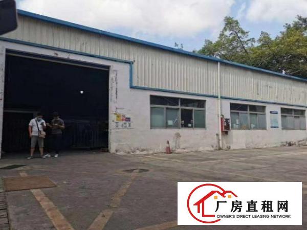  龙华龙胜地铁站附近新出一楼7米钢构3100
