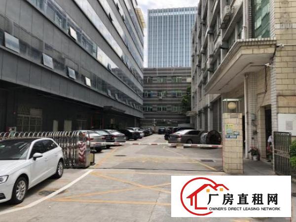  大浪原房东厂房出租真正还价就租