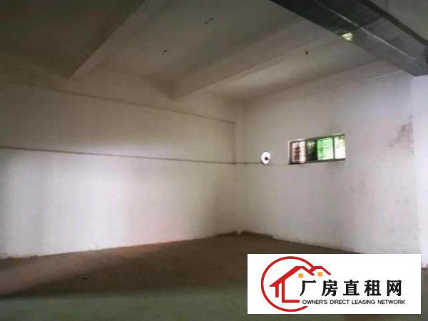  龙华汽车站附近标准厂房一楼出租具体面议