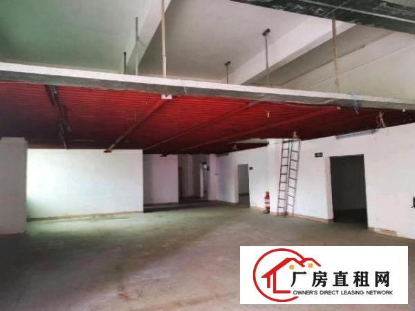  龙华汽车站附近标准厂房一楼出租具体面议