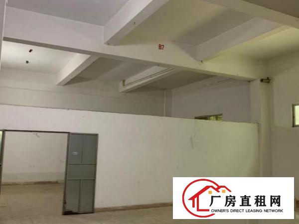  龙华汽车站附近标准厂房一楼出租具体面议