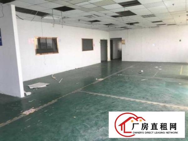  龙华区龙华清湖标准写字楼厂房仓库出租可隔层