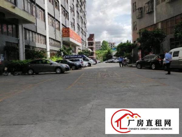  龙华区龙华清湖标准写字楼厂房仓库出租可隔层