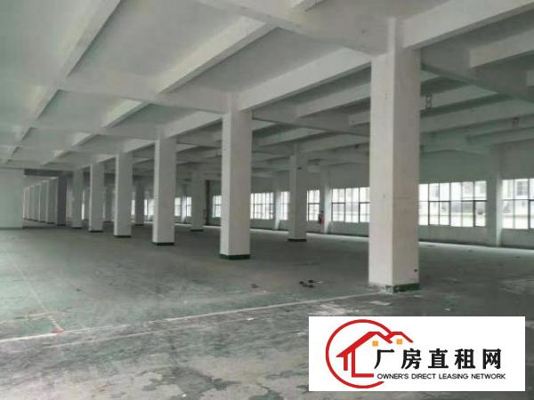  龙华大浪物业直租厂房出租一楼厂房出租4000平，可分租